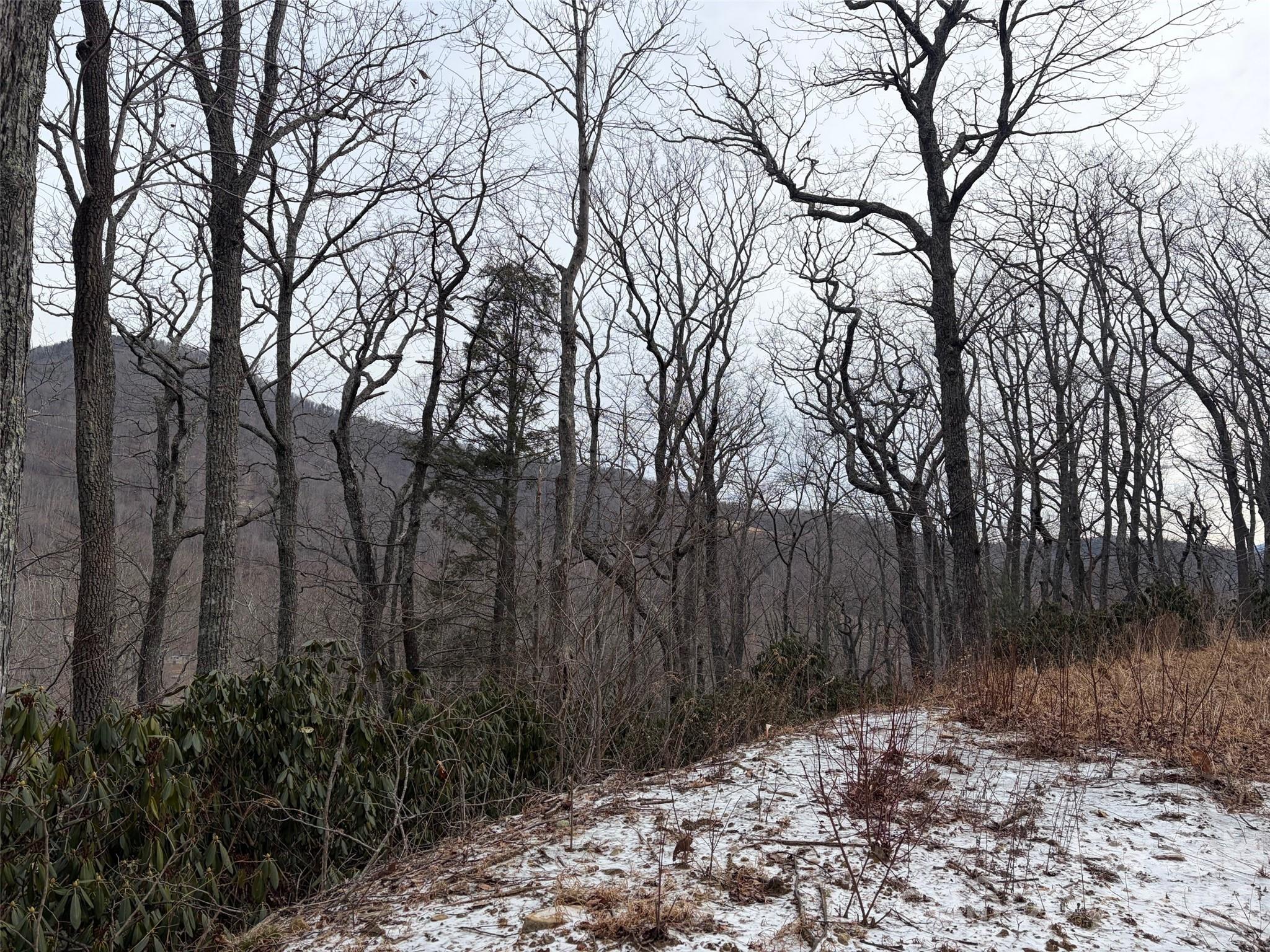 21 R Goodview Drive, Unit 21 Hendersonville, NC 28792 - Photo 9 of 9 a view of backyard with green space