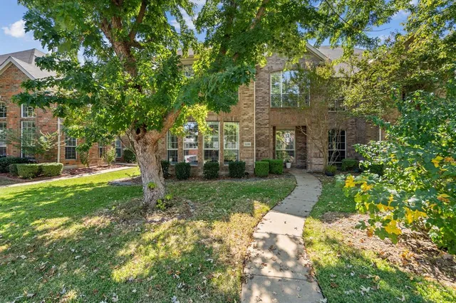 a view of a yard with plants and large trees