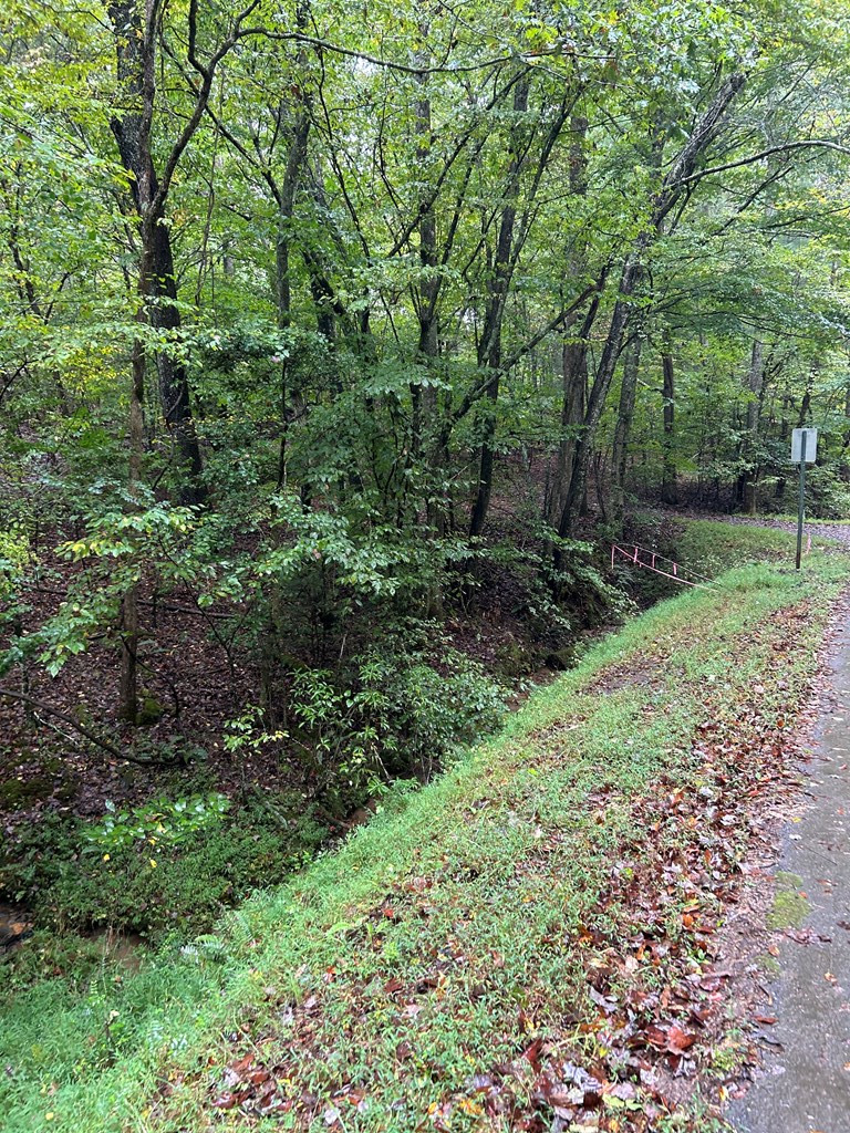 0 Johnsonville Road Murphy, NC 28906 - Photo 2 of 6 Gallery Image 2