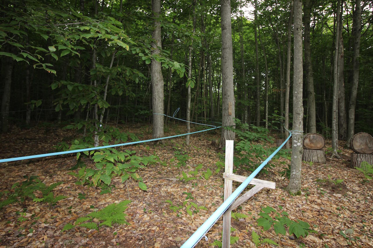 12 Maple Ridge Road Turner, ME 04282 - Photo 18 of 46 IMG_6850