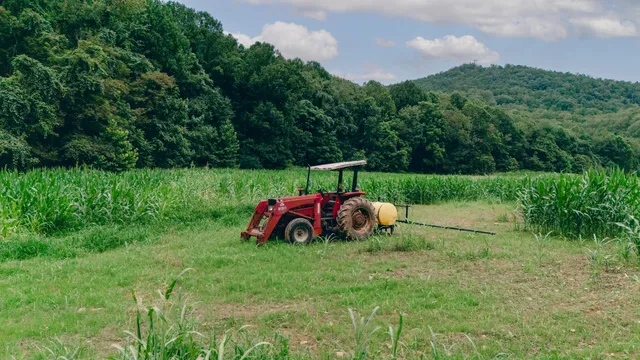 a view of yard with green space