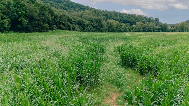 a view of an outdoor space and a lake view