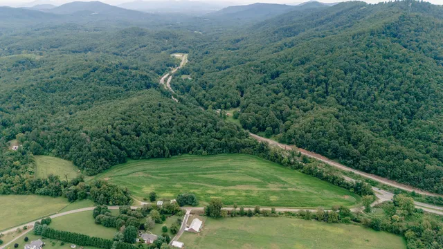 a view of a garden with plants
