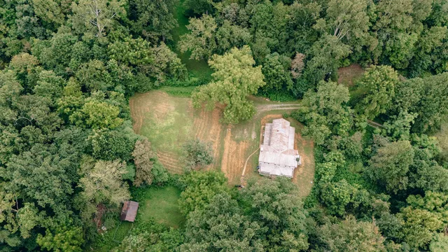a sign that is sitting in a forest