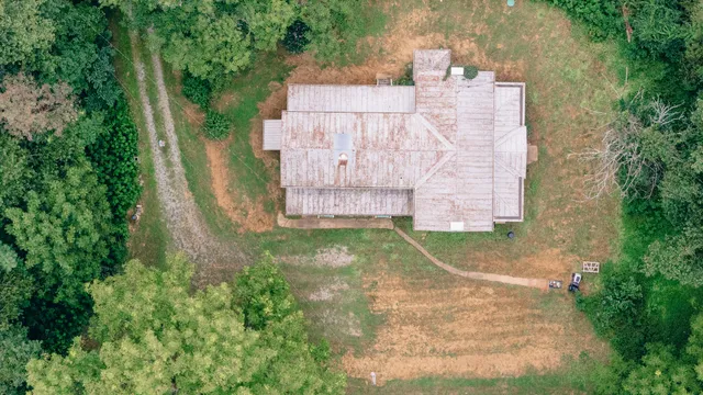 a view of a yard with a tree
