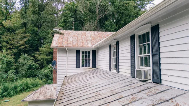 a view of flowers in bunch