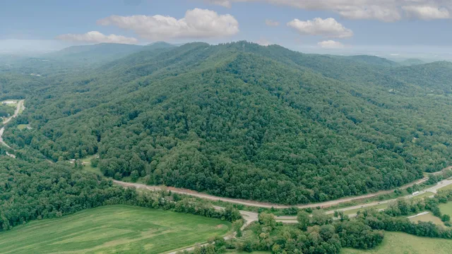 a view of a lush green outdoor space with a lake view