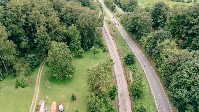 a view of a lush green forest with trees and some houses