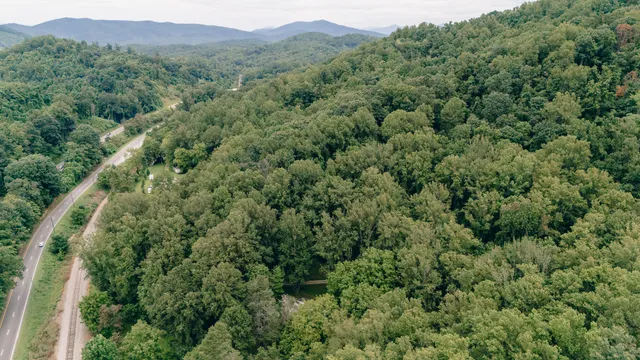 an aerial view of residential houses with outdoor space and trees