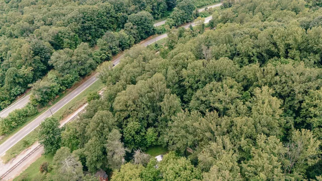 an aerial view of forest