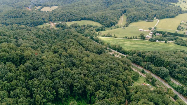 a view of a forest with a street