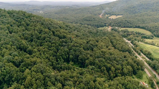 a view of field with trees in the background