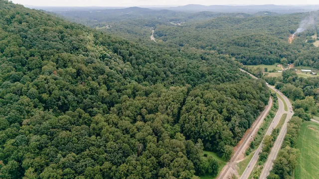 a view of a trees with a yard