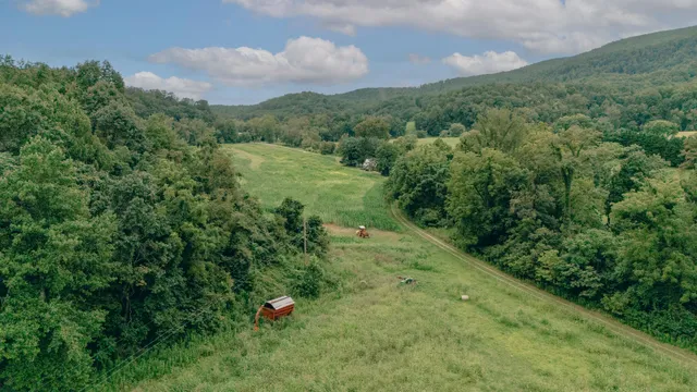 a view of a lush green forest with a house
