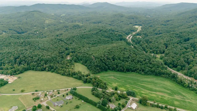 a view of a lush green forest with trees in the background
