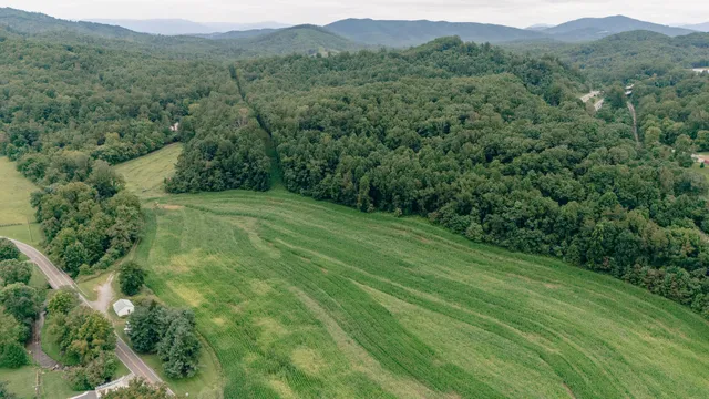 a view of a yard with plants and a small yard