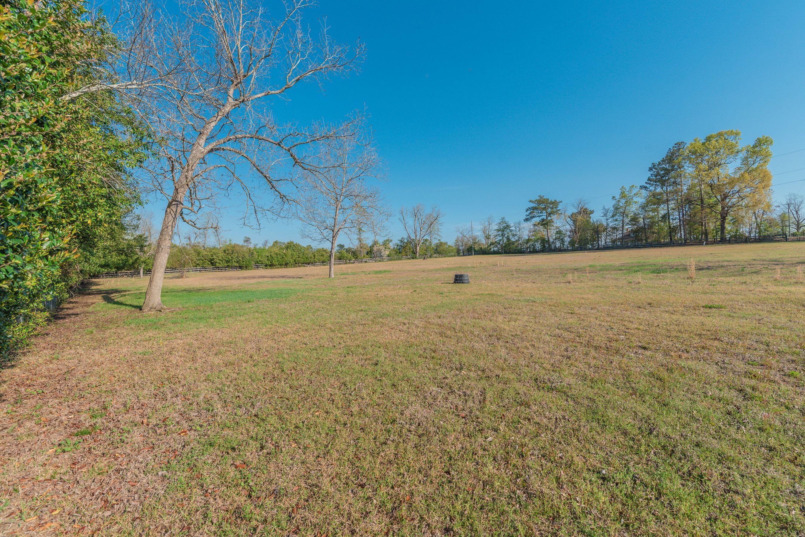 252 Moseley Road Williston, SC 29853 - Photo 55 of 64