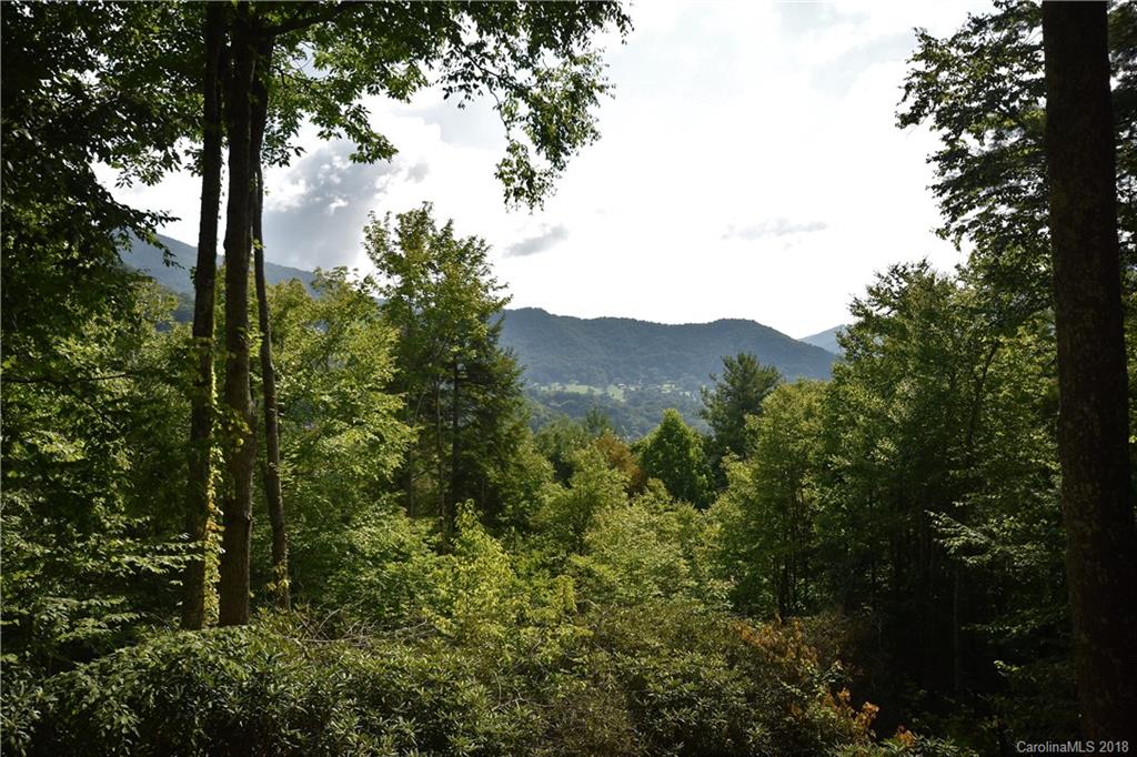 782 Setzercove Road Maggie Valley, NC 28751 - Photo 15 of 35 Gallery Image 15