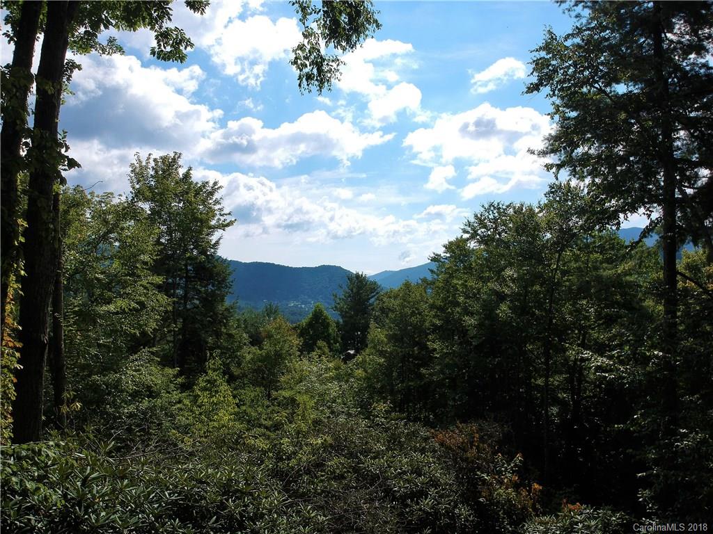 782 Setzercove Road Maggie Valley, NC 28751 - Photo 4 of 35 Gallery Image 4