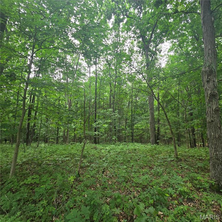 14809 East Knox Road Mount Vernon, IL 62864 - Photo 14 of 31
