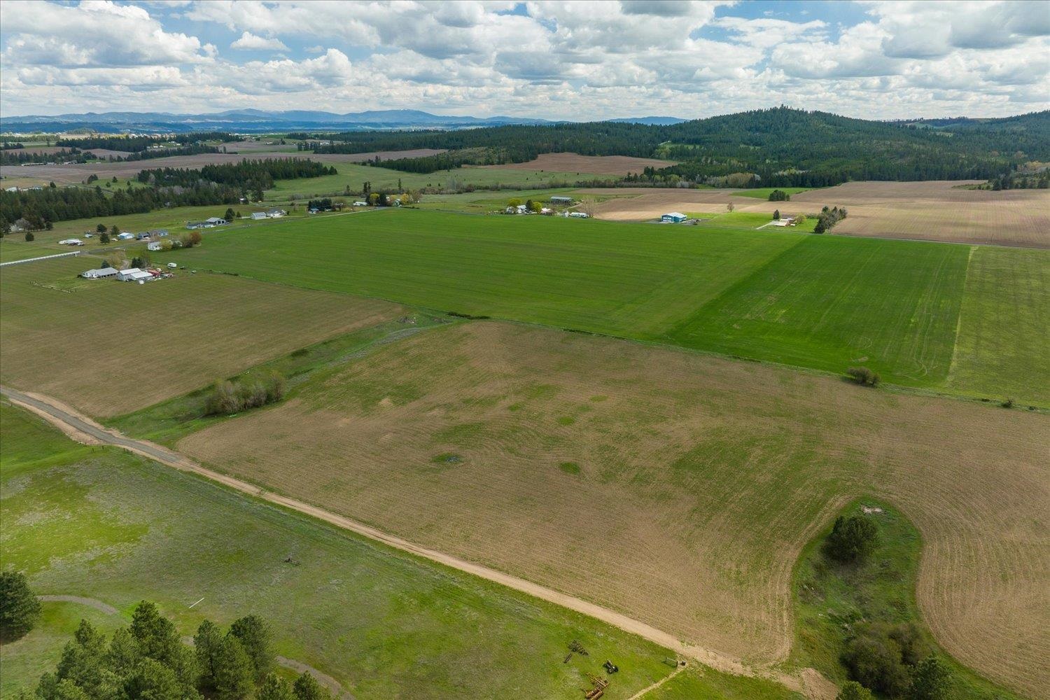 24000 North Dalton Road Deer Park, WA 99006 - Photo 11 of 22