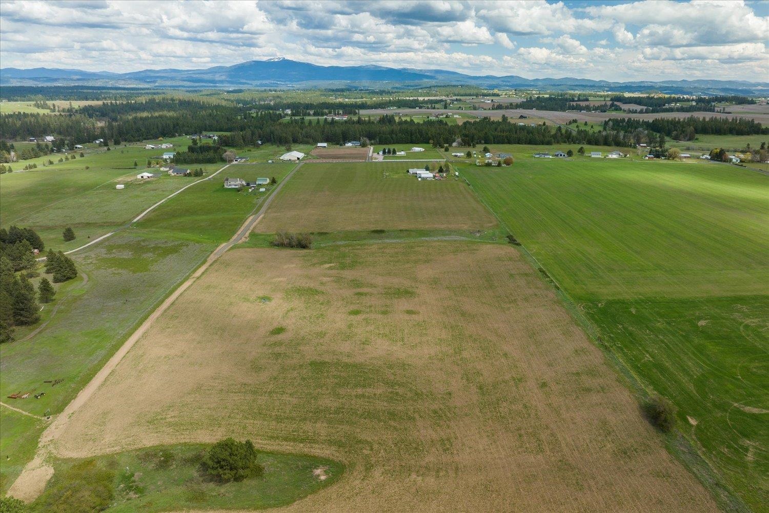 24000 North Dalton Road Deer Park, WA 99006 - Photo 12 of 22