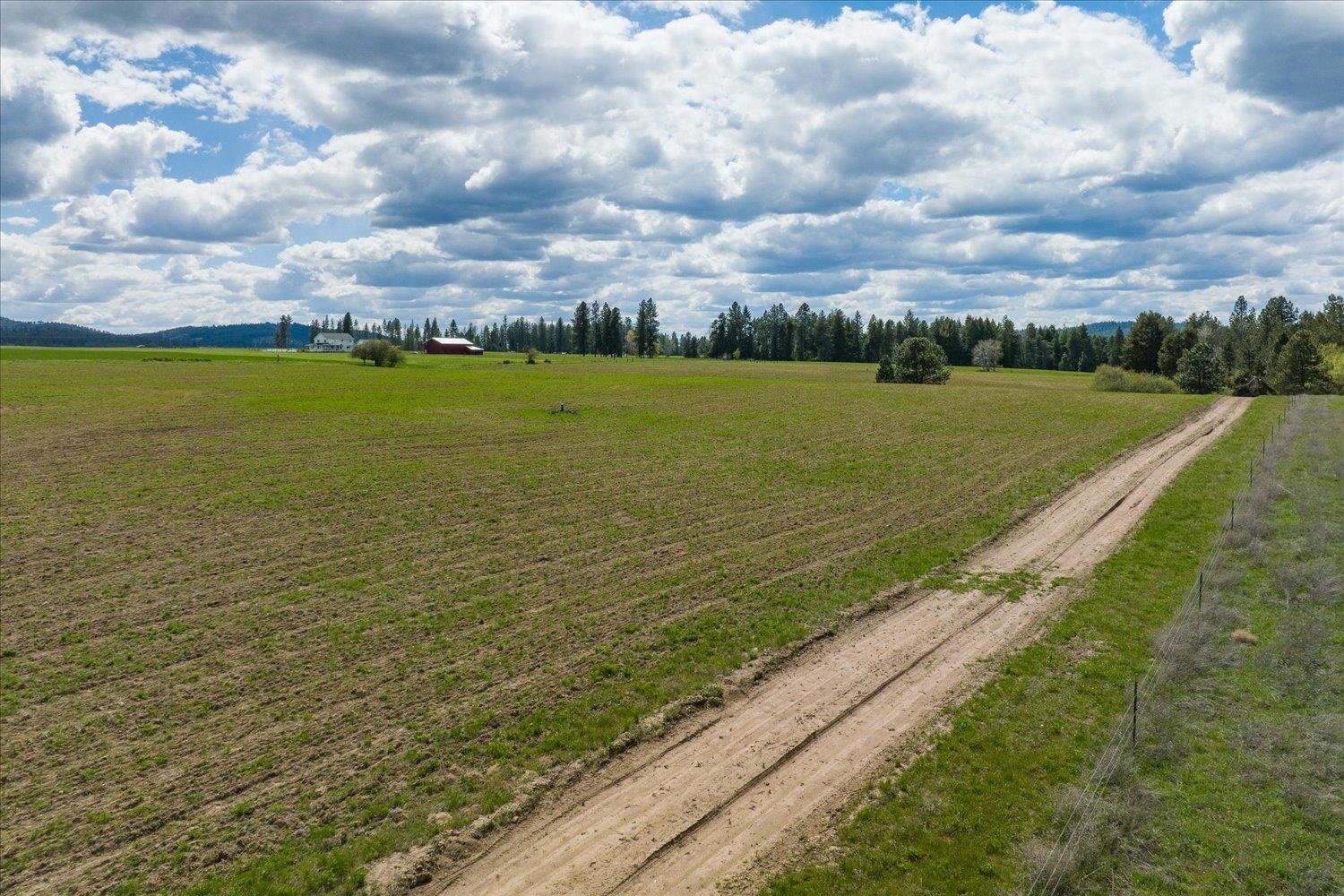 24000 North Dalton Road Deer Park, WA 99006 - Photo 16 of 22
