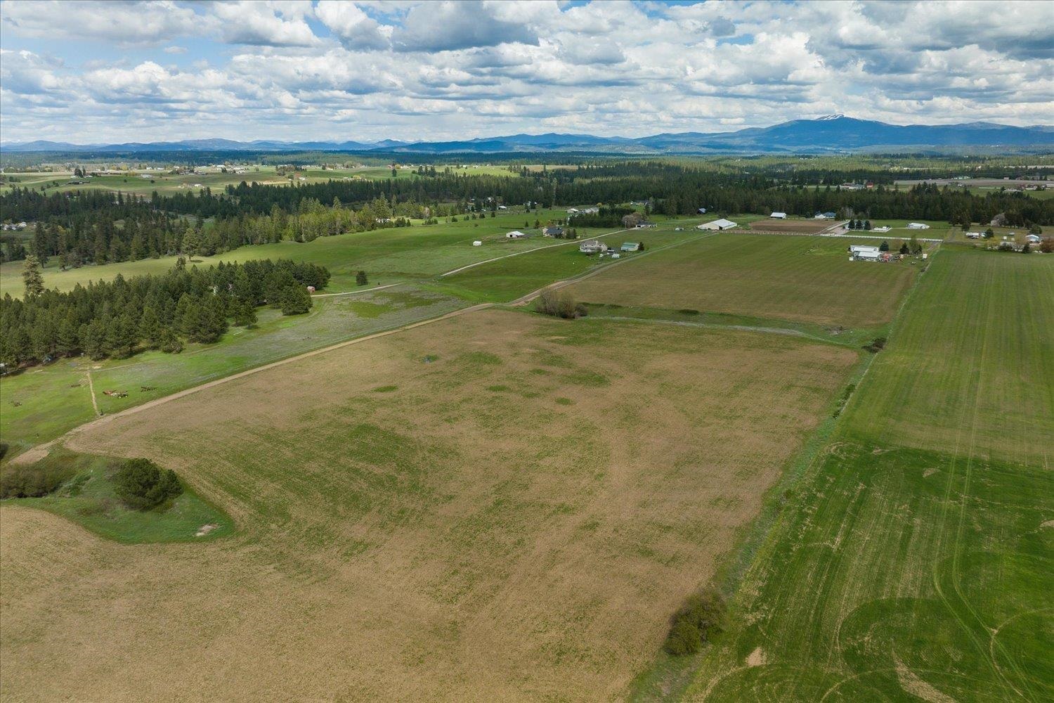 24000 North Dalton Road Deer Park, WA 99006 - Photo 19 of 22