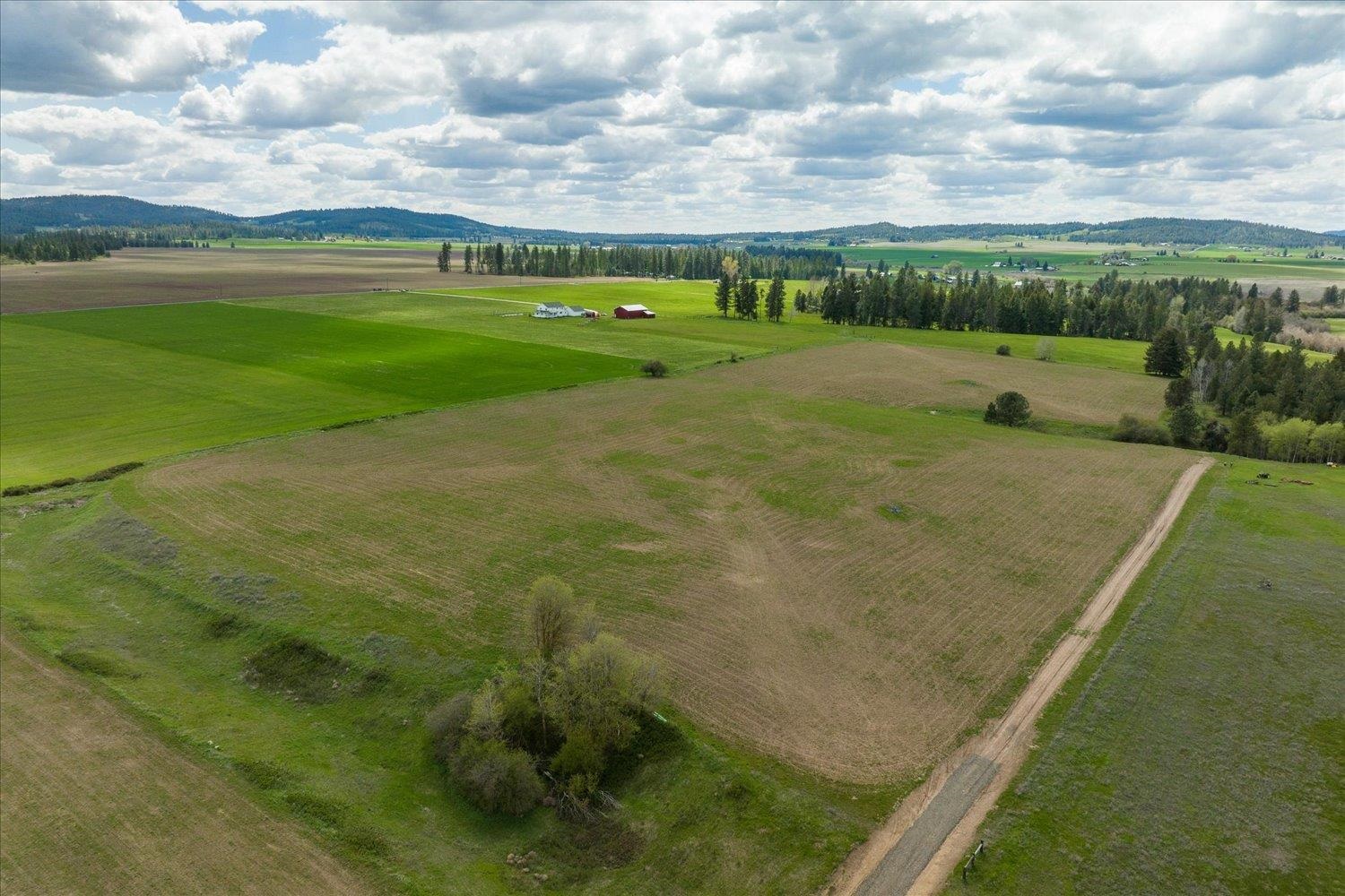 24000 North Dalton Road Deer Park, WA 99006 - Photo 2 of 22