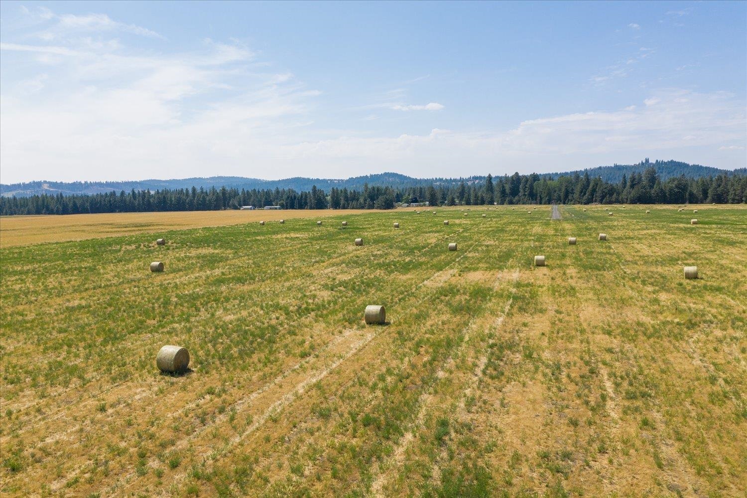 24000 North Dalton Road Deer Park, WA 99006 - Photo 21 of 22