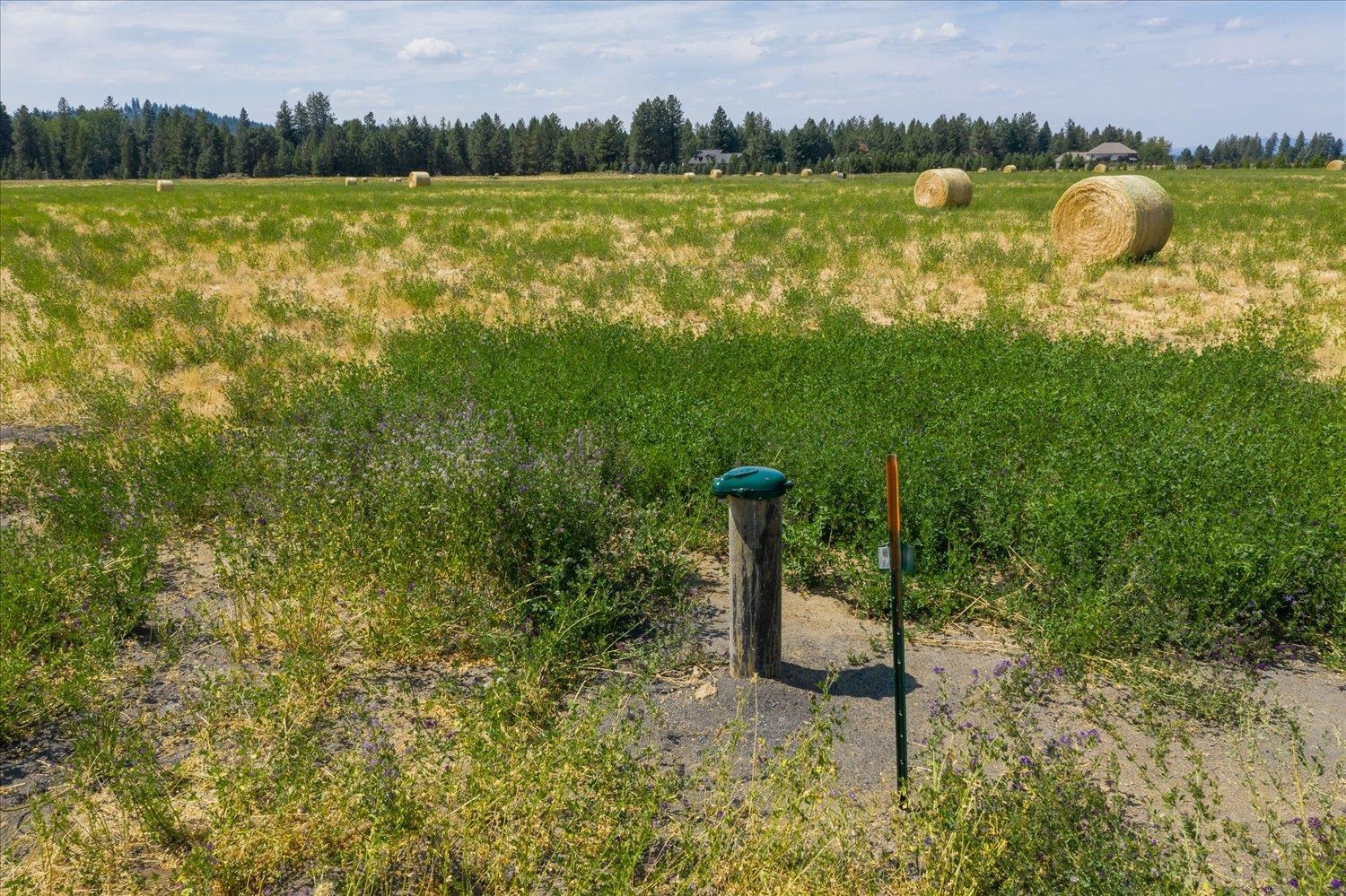 24000 North Dalton Road Deer Park, WA 99006 - Photo 22 of 22