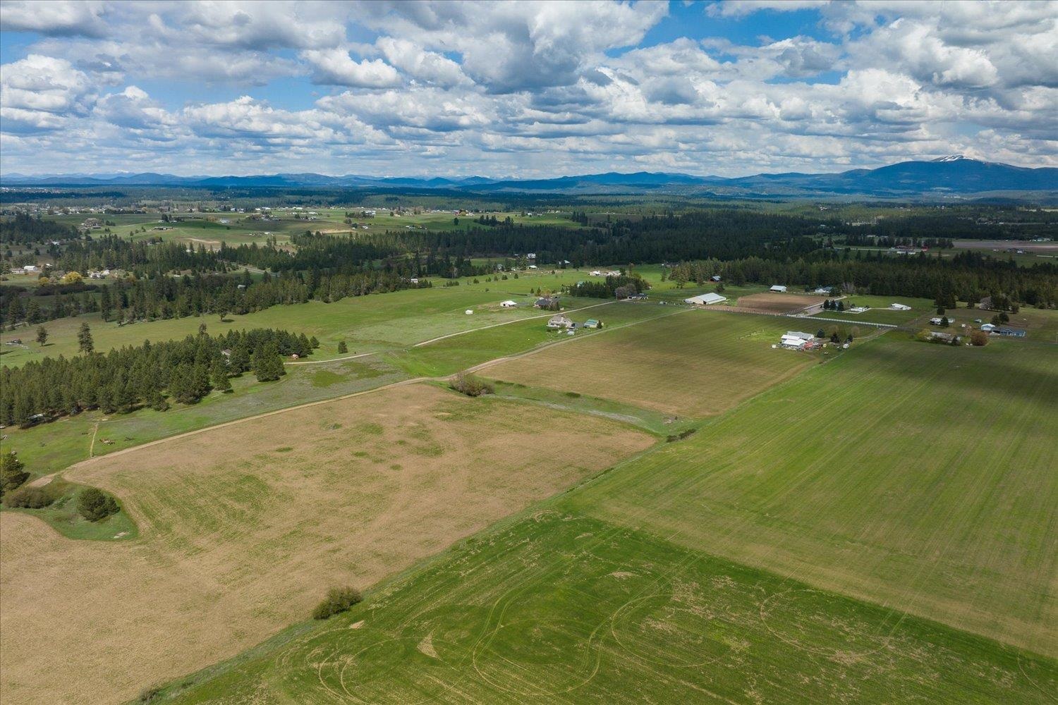 24000 North Dalton Road Deer Park, WA 99006 - Photo 4 of 22
