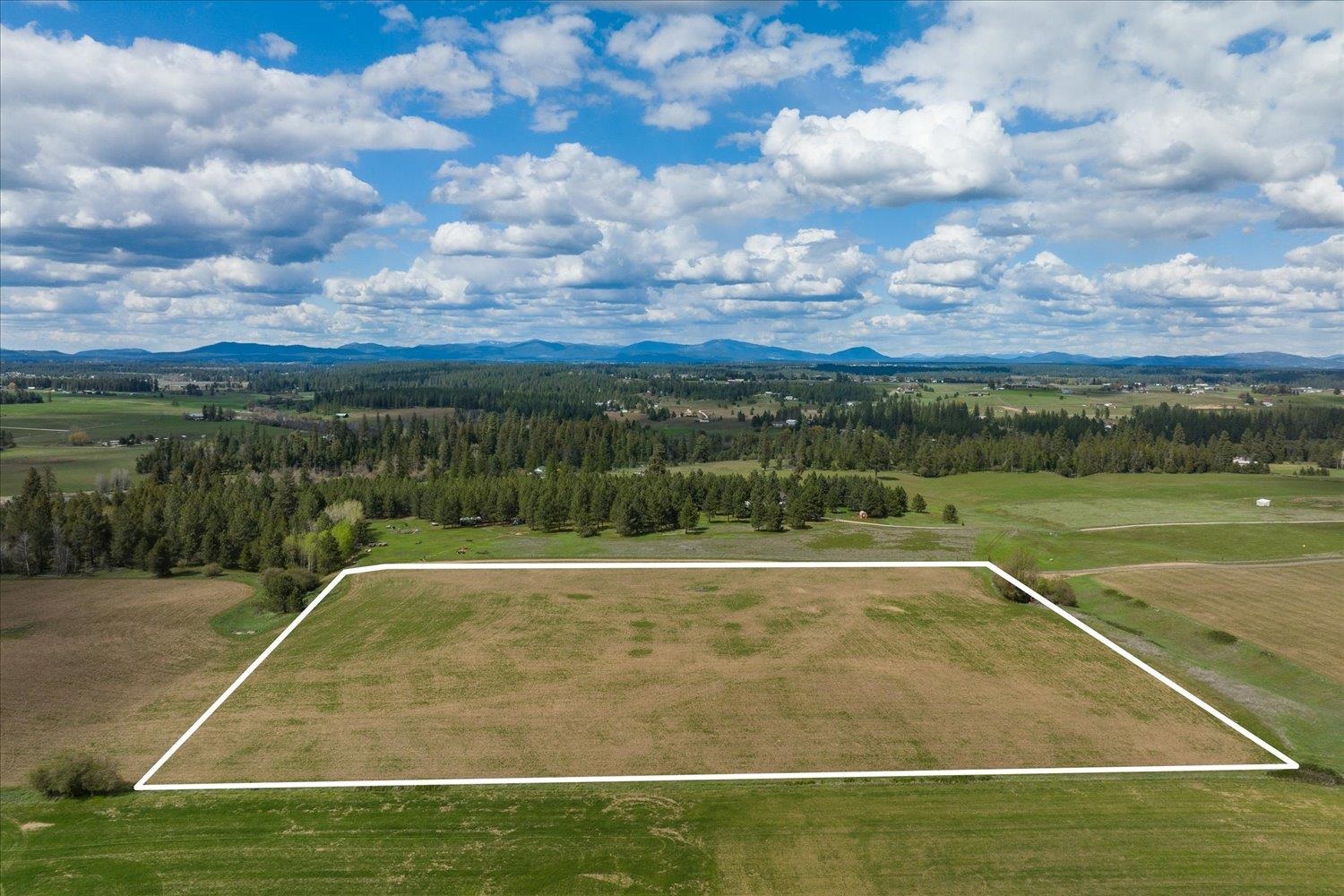 24000 North Dalton Road Deer Park, WA 99006 - Photo 6 of 22