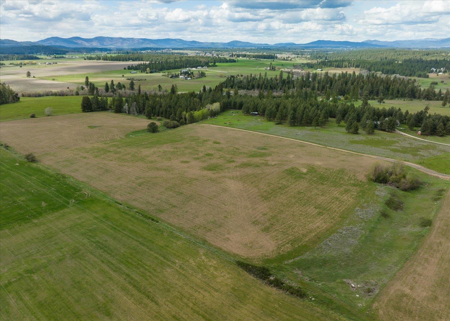 24000 North Dalton Road Deer Park, WA 99006 - Photo 9 of 22