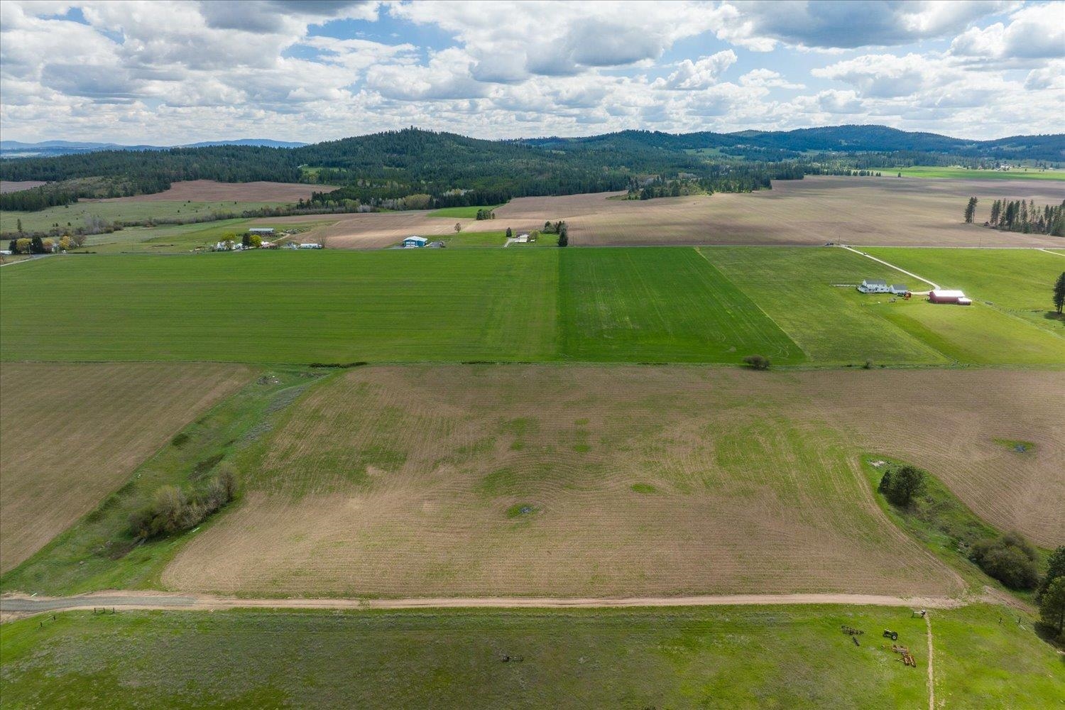 24000 North Dalton Road Deer Park, WA 99006 - Photo 10 of 22