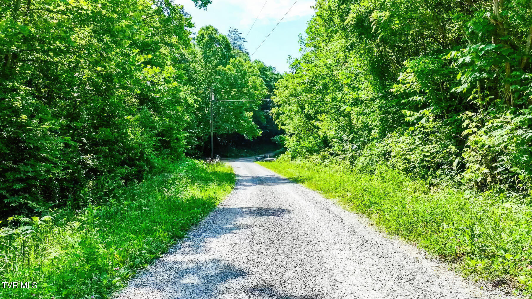Tbd Eb Holw Road Eidson, TN 37731 - Photo 11 of 16 206