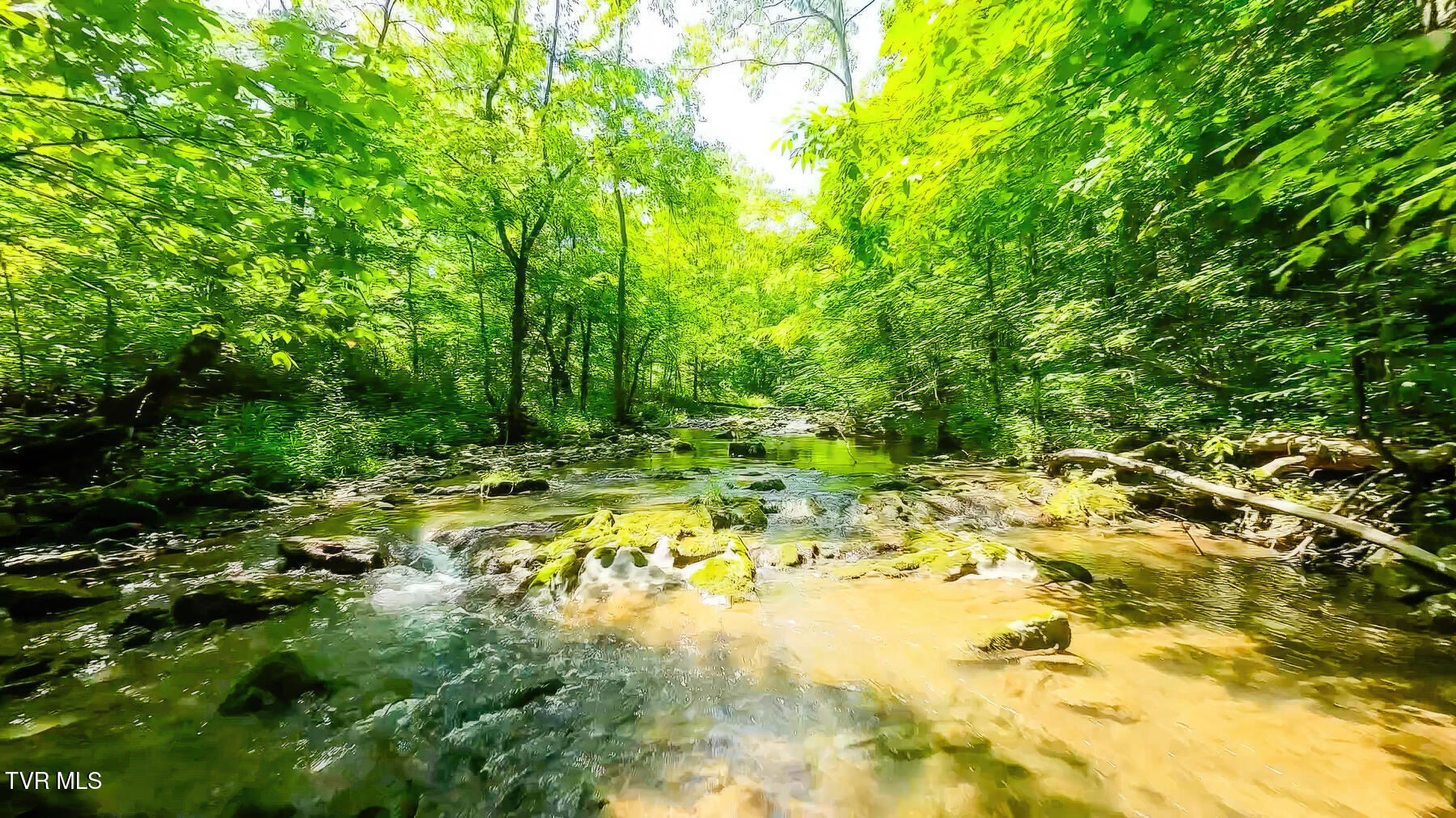 Tbd Eb Holw Road Eidson, TN 37731 - Photo 13 of 16 208