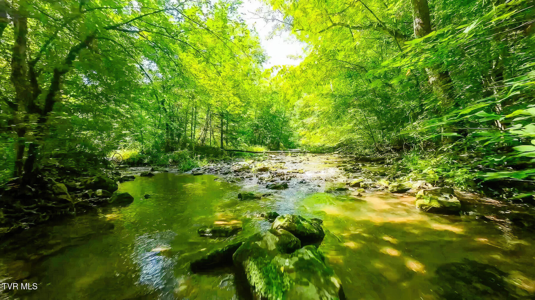 Tbd Eb Holw Road Eidson, TN 37731 - Photo 15 of 16 210