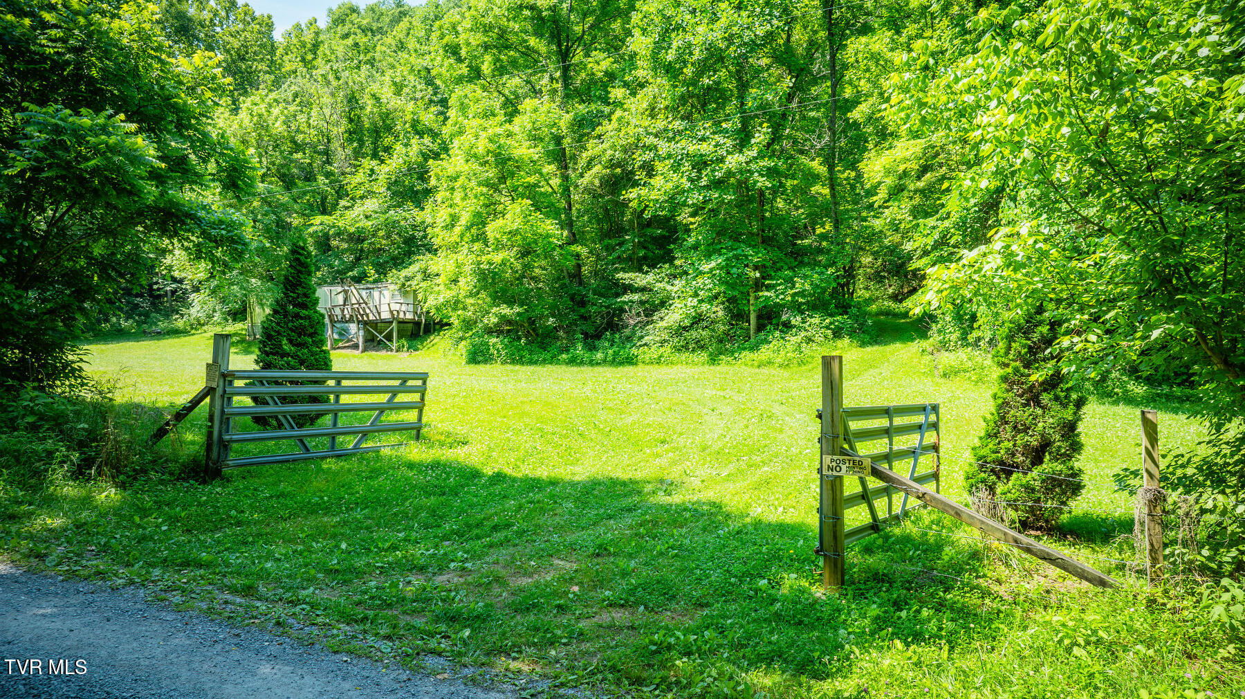 Tbd Eb Holw Road Eidson, TN 37731 - Photo 3 of 16 119