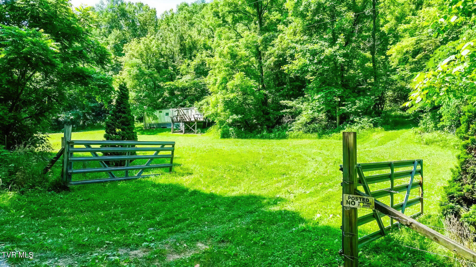 Tbd Eb Holw Road Eidson, TN 37731 - Photo 4 of 16 203