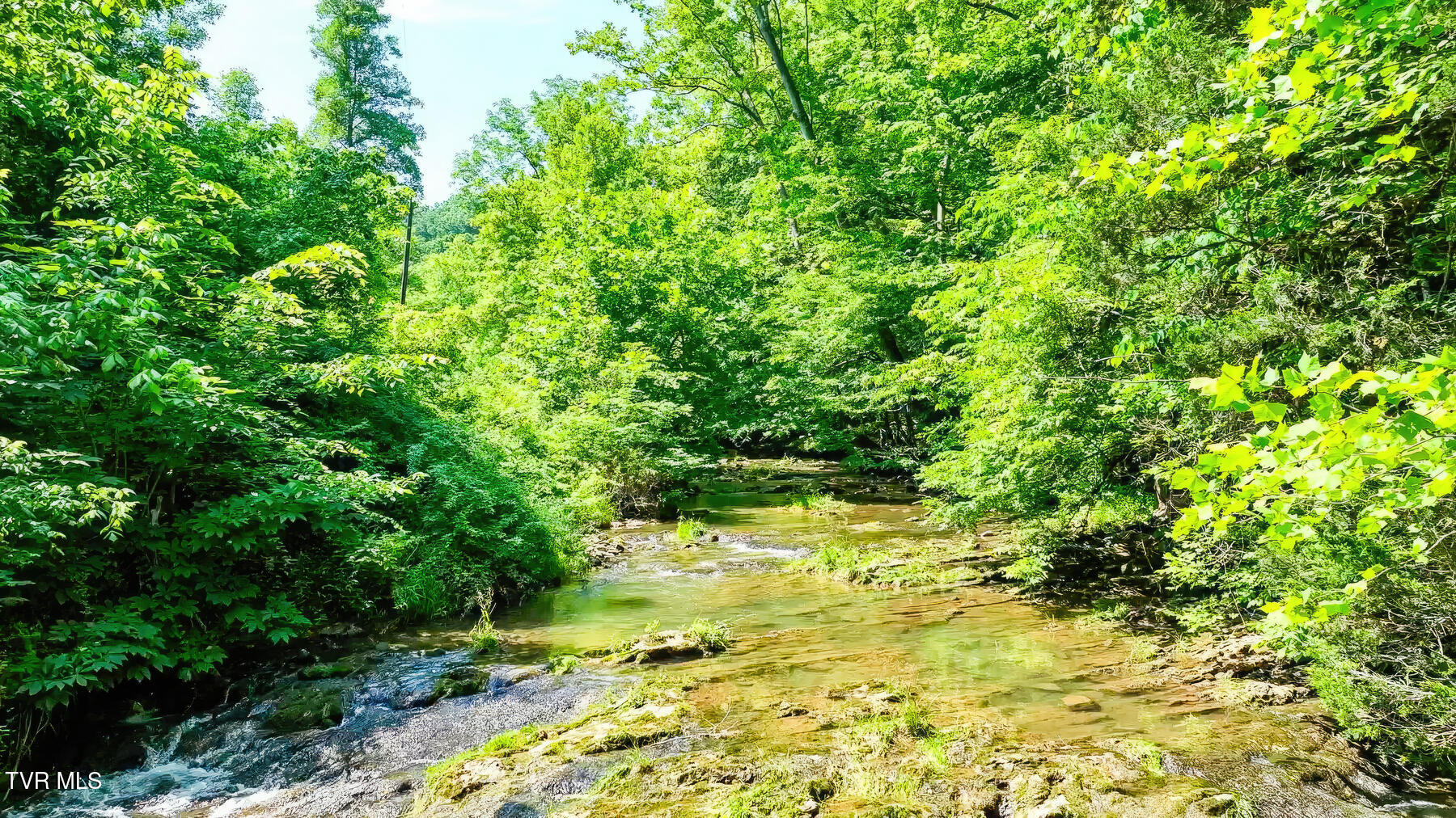 Tbd Eb Holw Road Eidson, TN 37731 - Photo 9 of 16 204