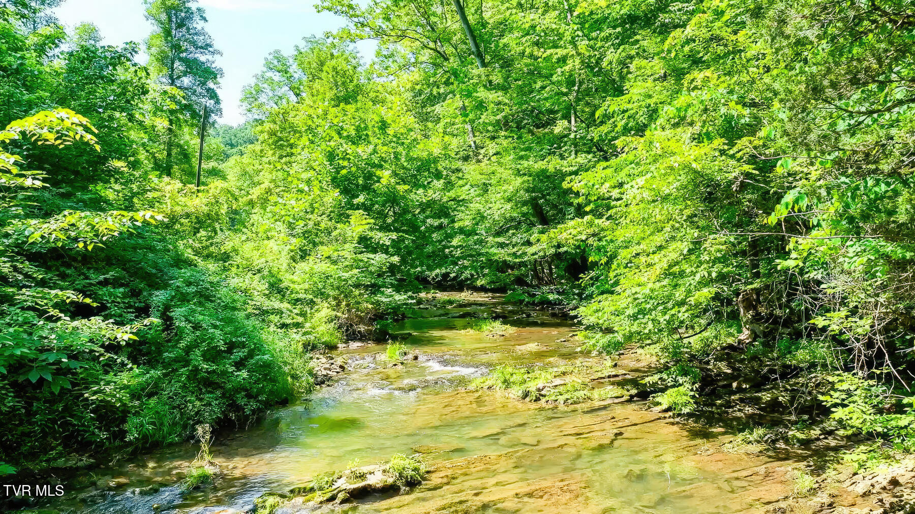 Tbd Eb Holw Road Eidson, TN 37731 - Photo 10 of 16 205