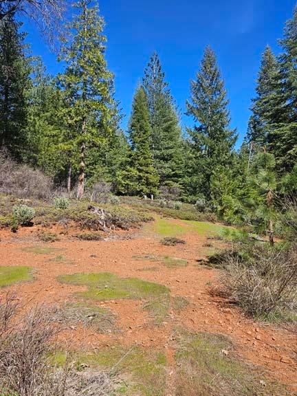 2 Indian Diggins Road Somerset, CA 95684 - Photo 5 of 9 a view of ocean view with beach
