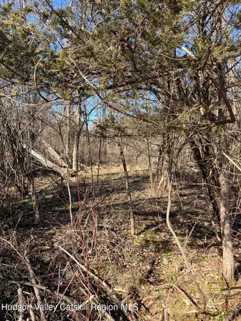 a view of a yard with wooden fence
