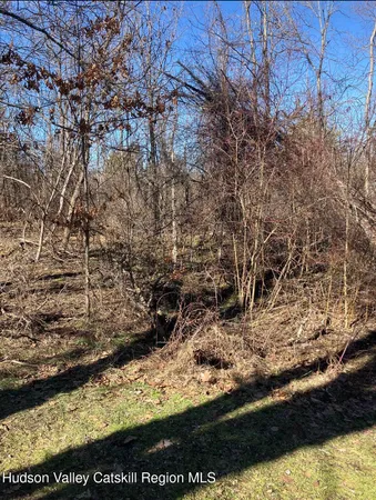 $69,900 | 0 Poney Lane, Catskill, NY 12414