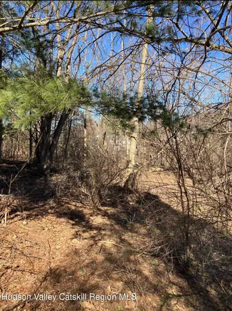 $69,900 | 0 Poney Lane, Catskill, NY 12414