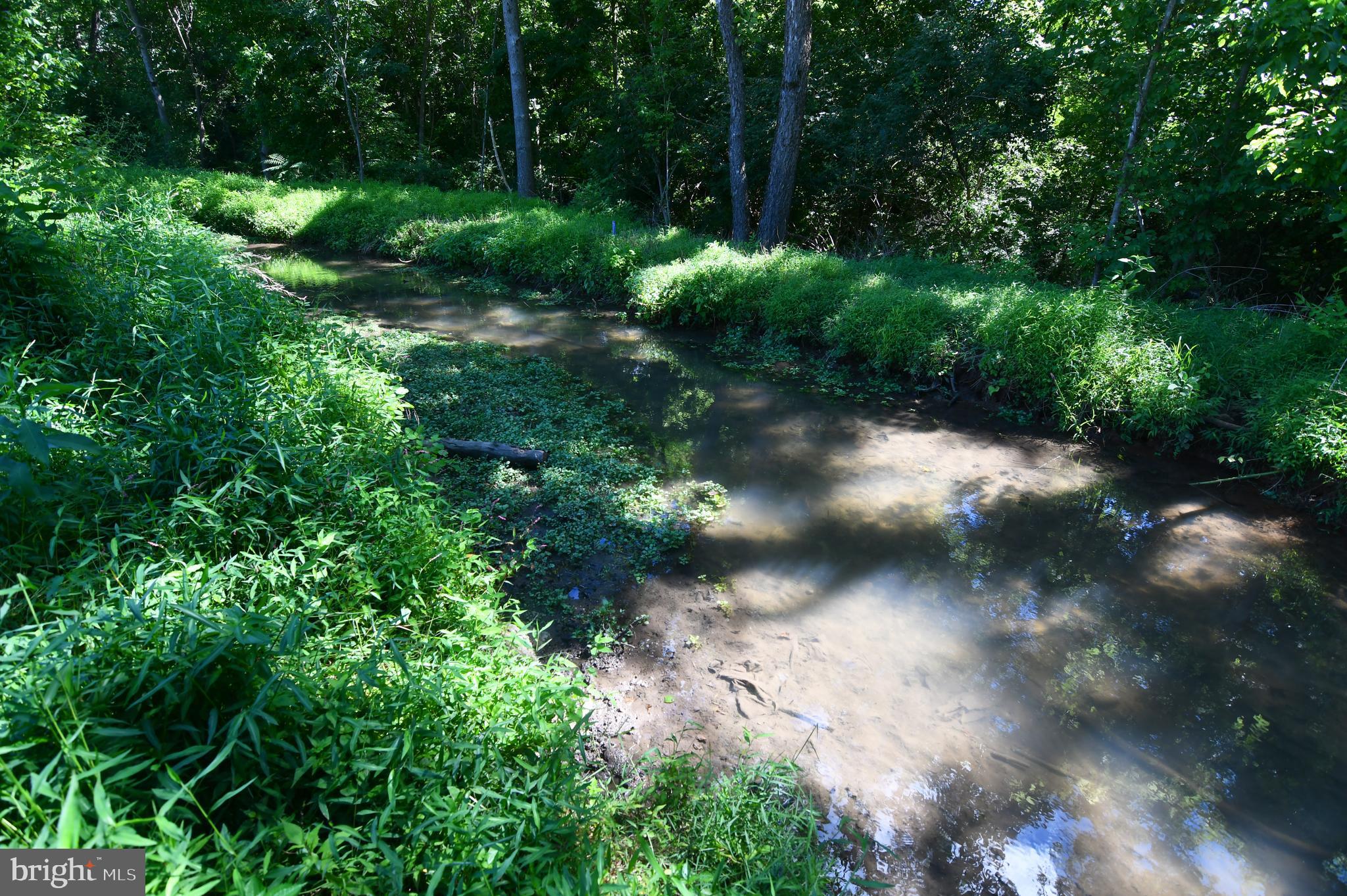 1862 Millwood Road Boyce, VA 22620 - Photo 4 of 10 Mill Race