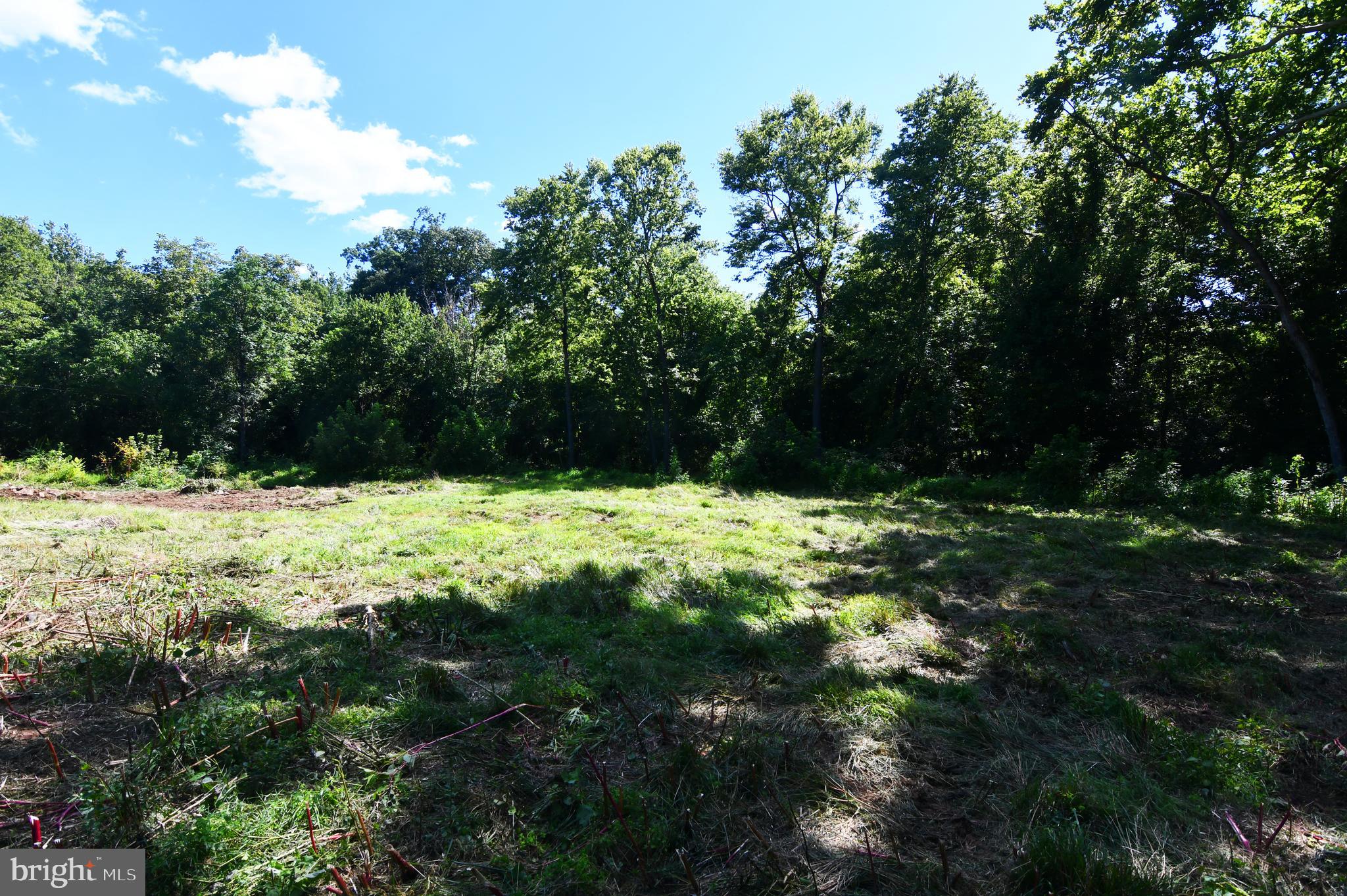 1862 Millwood Road Boyce, VA 22620 - Photo 7 of 10 Lot from ground