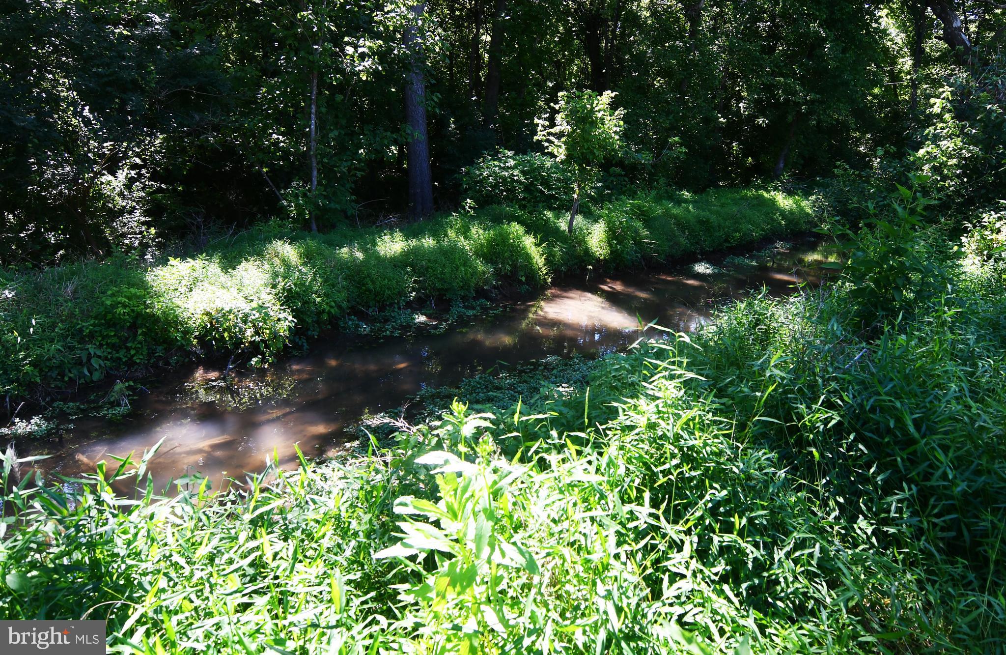 1862 Millwood Road Boyce, VA 22620 - Photo 10 of 10 Mill Race