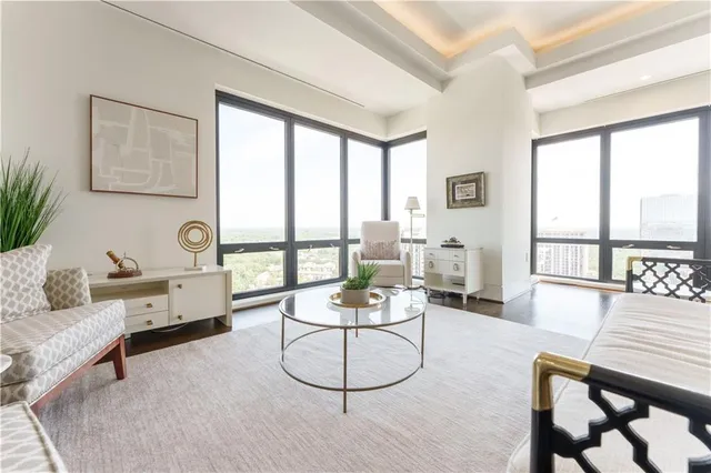 a living room with furniture a rug potted plant and a large window
